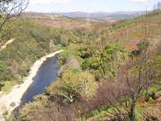 Quinta - Coja, Arganil, Coimbra - Miniatura: 2/6