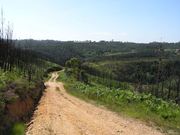 Quinta - Coja, Arganil, Coimbra - Miniatura: 4/6