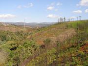 Quinta - Coja, Arganil, Coimbra - Miniatura: 6/6