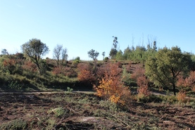 Quinta - �zere, T�bua, Coimbra - Miniatura: 4/9