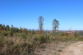 Quinta - �zere, T�bua, Coimbra - Miniatura: 5/9