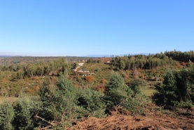 Quinta - �zere, T�bua, Coimbra - Miniatura: 7/9