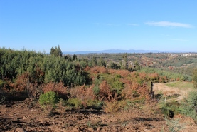 Quinta - �zere, T�bua, Coimbra - Miniatura: 8/9