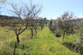 Quinta T1 - Covas, Tbua, Coimbra - Miniatura: 11/14