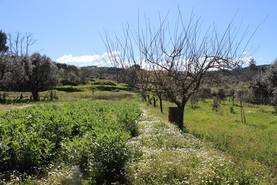 Quinta T1 - Covas, Tbua, Coimbra - Miniatura: 13/14
