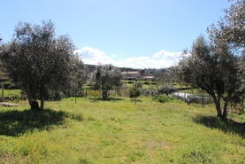Quinta T1 - Covas, Tbua, Coimbra - Miniatura: 14/14