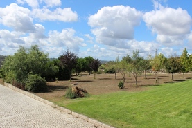 Quinta T4 - Meruge, Oliveira do Hospital, Coimbra - Miniatura: 8/9