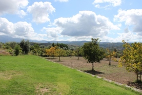 Quinta T4 - Meruge, Oliveira do Hospital, Coimbra - Miniatura: 9/9