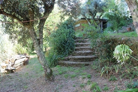 Quinta T3 - Vila Pouca da Beira, Oliveira do Hospital, Coimbra - Miniatura: 12/14