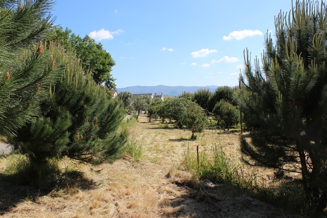 Terreno Urbano - Lourosa, Oliveira do Hospital, Coimbra - Imagem grande