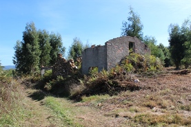 Quinta - Coja, Arganil, Coimbra - Miniatura: 1/9