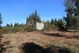 Quinta - Coja, Arganil, Coimbra - Miniatura: 2/9