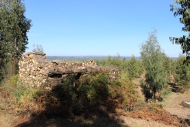 Quinta - Coja, Arganil, Coimbra - Miniatura: 9/9