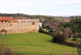 Quinta - Candosa, Tbua, Coimbra - Miniatura: 1/14