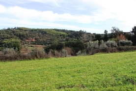 Quinta - Candosa, Tbua, Coimbra - Miniatura: 7/14