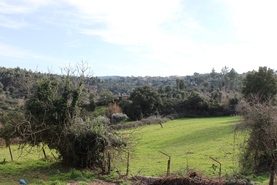 Quinta - Candosa, Tbua, Coimbra - Miniatura: 12/14