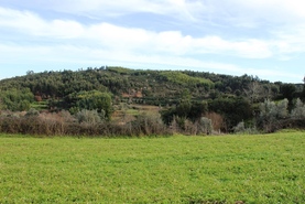 Quinta - Candosa, Tbua, Coimbra - Miniatura: 14/14