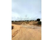 Terreno Rstico - Quelfes, Olho, Faro (Algarve) - Miniatura: 9/9