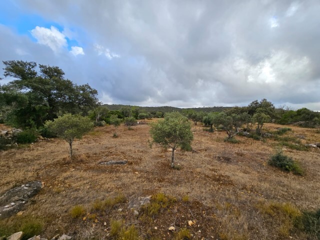 Terreno Rstico - So Brs de Alportel, So Brs de Alportel, Faro (Algarve) - Imagem grande