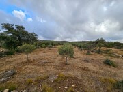 Terreno Rstico - So Brs de Alportel, So Brs de Alportel, Faro (Algarve)