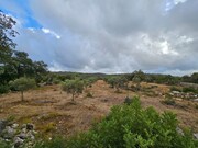 Terreno Rstico - So Brs de Alportel, So Brs de Alportel, Faro (Algarve) - Miniatura: 1/9