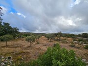 Terreno Rstico - So Brs de Alportel, So Brs de Alportel, Faro (Algarve) - Miniatura: 3/9
