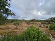 Terreno Rstico - So Brs de Alportel, So Brs de Alportel, Faro (Algarve) - Miniatura: 4/9