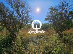 Quinta T4 - Rio Me�o, Santa Maria da Feira, Aveiro - Miniatura: 25/37