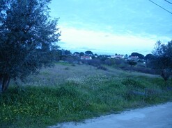 Quinta - Vendas Novas, Vendas Novas, vora