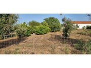 Terreno R�stico - Vendas Novas, Vendas Novas, �vora - Miniatura: 1/6