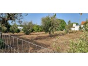 Terreno R�stico - Vendas Novas, Vendas Novas, �vora - Miniatura: 2/6