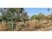 Terreno R�stico - Vendas Novas, Vendas Novas, �vora - Miniatura: 3/6