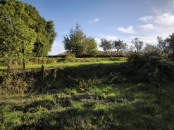 Terreno R�stico - Oliveira do Conde, Carregal do Sal, Viseu - Miniatura: 9/16