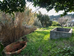 Terreno R�stico - Alhandra, Vila Franca de Xira, Lisboa - Miniatura: 35/38