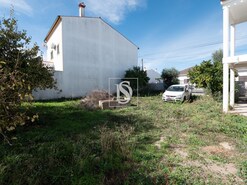 Terreno Rústico T0 - Alpalhão, Nisa, Portalegre - Miniatura: 2/8