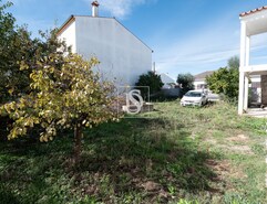 Terreno Rústico T0 - Alpalhão, Nisa, Portalegre - Miniatura: 3/8