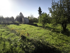 Terreno R�stico - Oliveira do Conde, Carregal do Sal, Viseu - Miniatura: 5/15