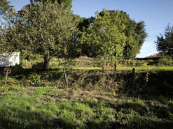 Terreno R�stico - Oliveira do Conde, Carregal do Sal, Viseu - Miniatura: 6/15