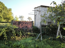 Terreno R�stico - Oliveira do Conde, Carregal do Sal, Viseu - Miniatura: 12/16