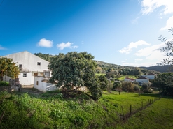 Terreno R�stico - Alhandra, Vila Franca de Xira, Lisboa - Miniatura: 26/38