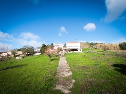 Terreno R�stico - Alhandra, Vila Franca de Xira, Lisboa - Miniatura: 4/38