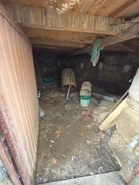 Moradia - Covas, T�bua, Coimbra - Miniatura: 8/13