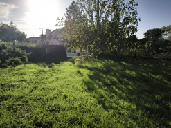 Terreno R�stico - Oliveira do Conde, Carregal do Sal, Viseu - Miniatura: 8/16