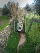 Terreno R�stico T0 - Alhandra, Vila Franca de Xira, Lisboa - Miniatura: 37/38