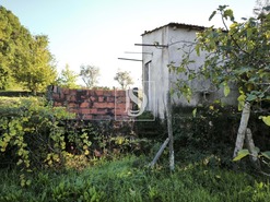 Terreno R�stico T0 - Oliveira do Conde, Carregal do Sal, Viseu - Miniatura: 2/9