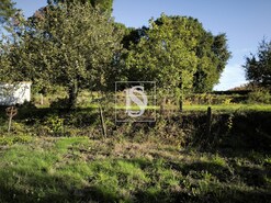 Terreno R�stico T0 - Oliveira do Conde, Carregal do Sal, Viseu - Miniatura: 5/9