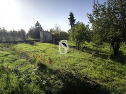 Terreno R�stico T0 - Oliveira do Conde, Carregal do Sal, Viseu - Miniatura: 6/9
