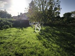 Terreno R�stico T0 - Oliveira do Conde, Carregal do Sal, Viseu - Miniatura: 8/9