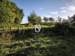 Terreno R�stico T0 - Oliveira do Conde, Carregal do Sal, Viseu - Miniatura: 9/9