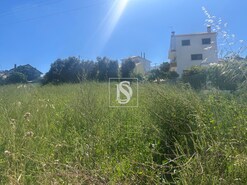 Terreno Rstico T0 - Alhandra, Vila Franca de Xira, Lisboa - Miniatura: 1/8
